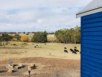 In2thewild Walden - Accommodation Perth 1