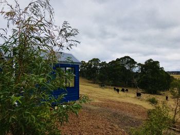 In2thewild Walden - Accommodation Perth 4