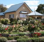 Willows Motel - Accommodation Perth