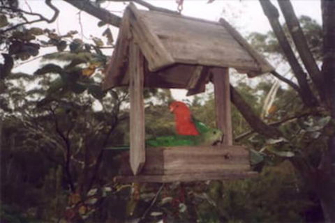 Arcadia Cottage - Accommodation Perth 2