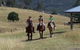 Lillydale Farmstay - thumb 0