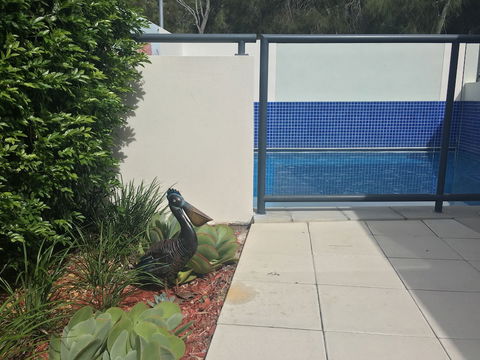 Manly Marina Cove Motel Brisbane - Perth Resorts 3