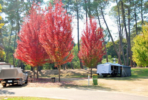 Beechworth Lake Sambell Caravan Park - Perth Resorts 1
