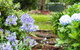 Mt Glorious Getaways - thumb 4