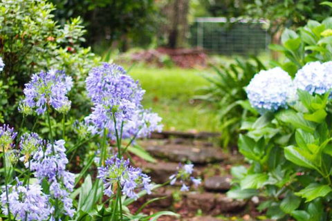 Mt Glorious Getaways - Accommodation Perth 4