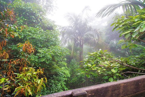 Mt Glorious Getaways - Accommodation Perth 7