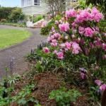 Cuckoo TAS Accommodation Perth