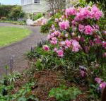 Anabels of Scottsdale - Accommodation Perth