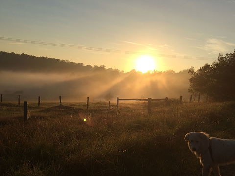 Bryn Glas Farm Stay - Accommodation Perth 2