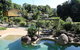 Licuala Lodge - thumb 6