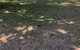 Dunk Island View Caravan Park - thumb 3