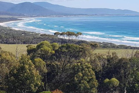 Bicheno S Ocean View Retreat - Accommodation Perth 0