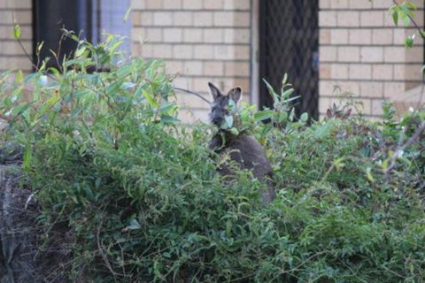 Bicheno S Ocean View Retreat - Accommodation Perth 6