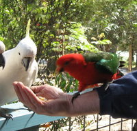 Lorne Bush House Cottages  Eco Retreats - Accommodation Perth