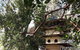 The Dove Cote - thumb 5