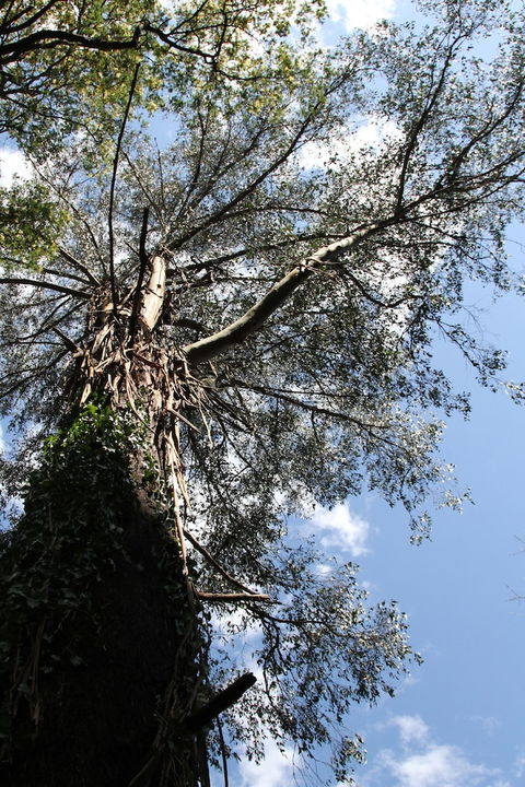 Gatehouse Cottage At Merrow Cottages - Mt Dandenong - Perth Resorts 4