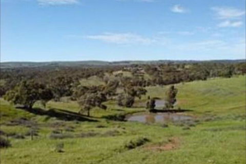 Clare View Accommodation - Accommodation Perth 6