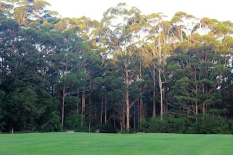 Tinglewood Cabins - Perth Resorts 0