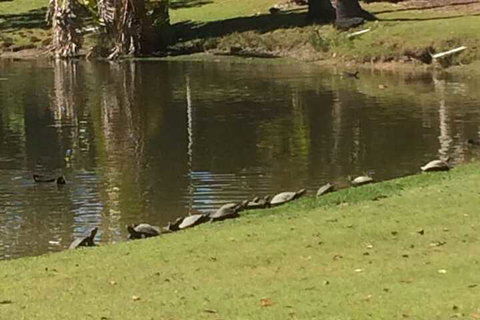 Sanctuary Lakes Fauna Retreat - Accommodation Perth 1