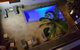 Wyuna Beachfront Holiday Apartments - thumb 3