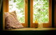 Como Cottages Accommodation - thumb 5