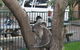 Port Macquarie Backpackers - thumb 3