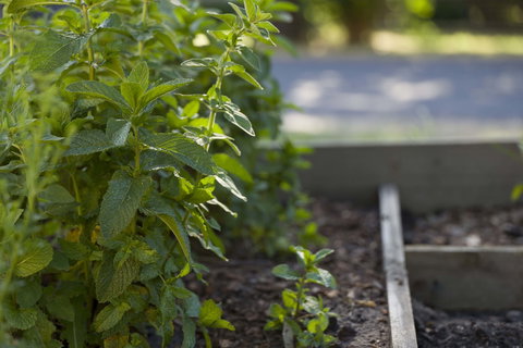 Grampians Eco YHA - Hostel - Perth Resorts 0