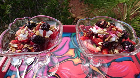 Natures Paradise - Accommodation Perth 2