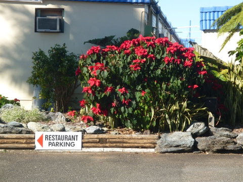 City Centre Motel - Accommodation Perth 1