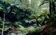 Corinna Wilderness Experience - thumb 2