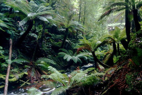 Corinna Wilderness Experience - Accommodation Perth 2