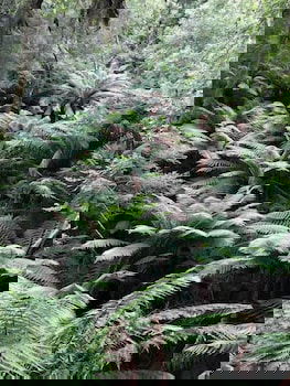 Corinna Wilderness Experience - Accommodation Perth 1