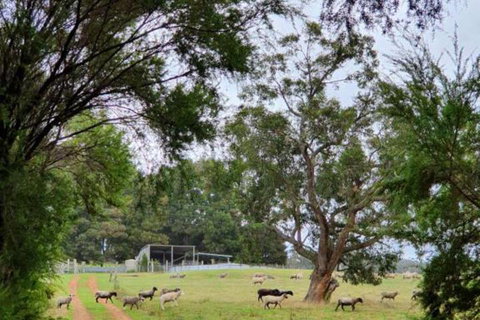 Cinnamon Coloureds Farm Cottages - Perth Resorts 7