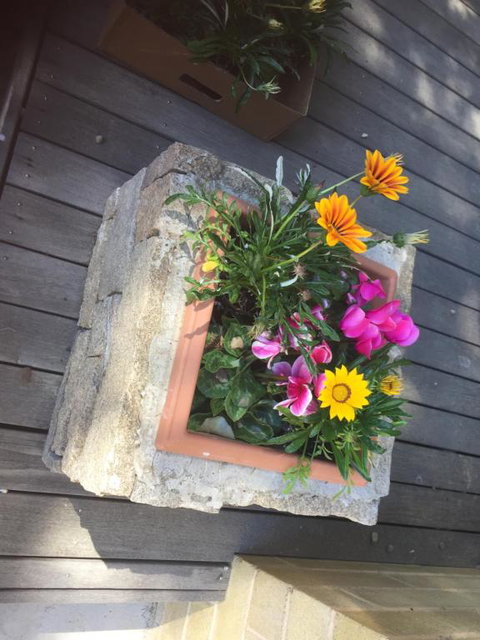Buffalo Motel & Country Retreat - Accommodation Perth 2