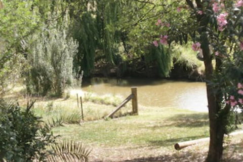 Kellys Motel Oakey - Accommodation Perth 5