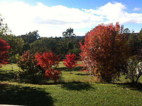 Stanley Goose Cottage - Accommodation Perth 5