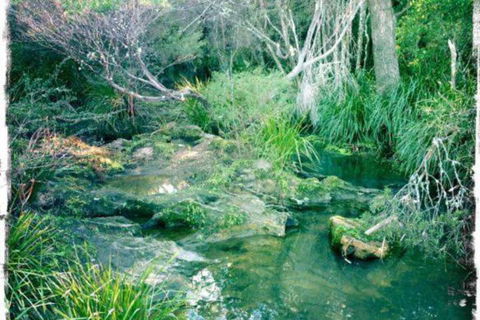 Twin Falls Bush Cottages - Perth Resorts 2