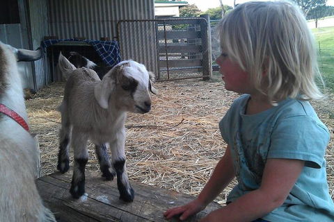 Fernleigh Farmstay & Bike Park - Perth Resorts 5