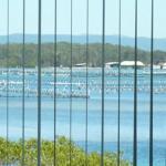 Montgomery Apartments - Perth Resorts 1