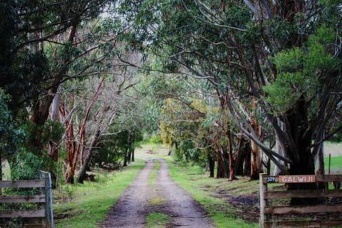 Galwiji Homestead - Accommodation Perth 7