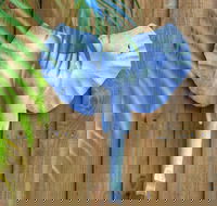 Deja Vu Palm Cove Private Heated Pool - Perth Resorts