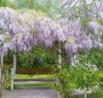 Amelina Cottages - Accommodation Perth