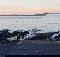 Hilton Motel - Accommodation Perth