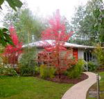 Dalrymples Guest Cottages - Accommodation Perth