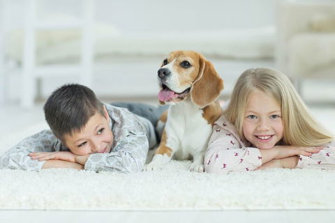 BOUTIQUE STAYS - Brighton Rose - Accommodation Perth 2