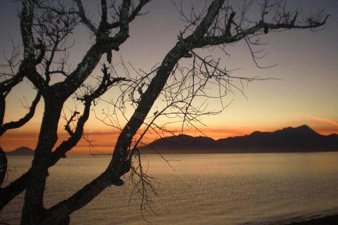 Daintree Village Hideaway - Accommodation Perth 3