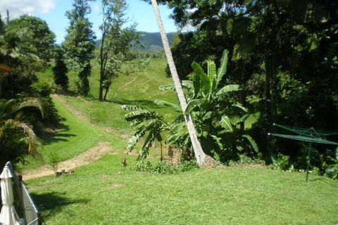 Daintree Village Hideaway - Accommodation Perth 5