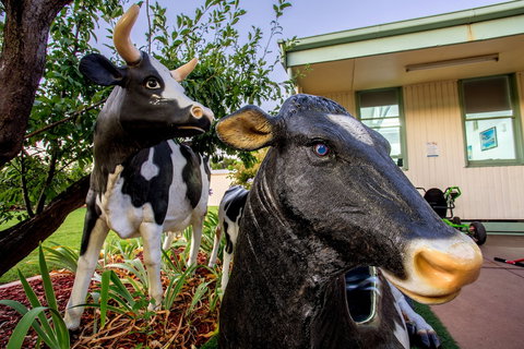 Big4 Shepparton Park Lane - Perth Resorts 0