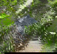 Montagues of Montville - Accommodation Perth