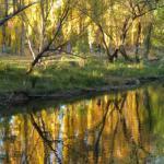 Burrowye VIC Perth Resorts